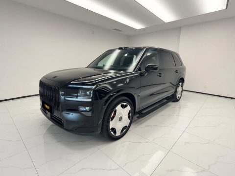 极氪 9X