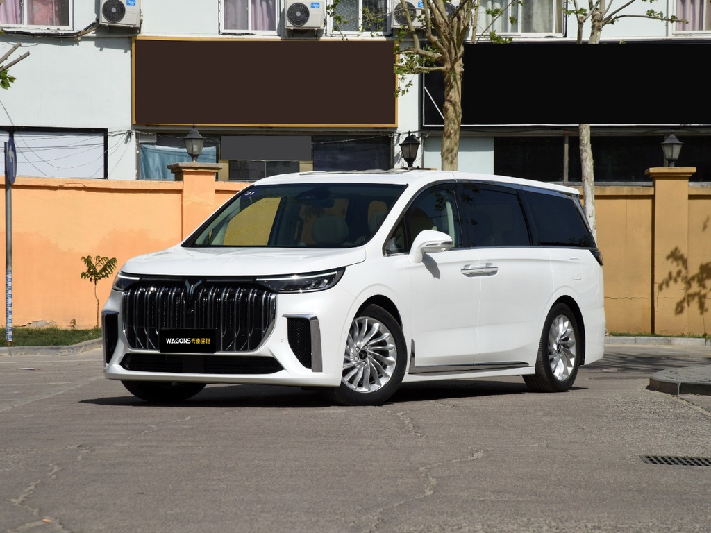 岚图 梦想家